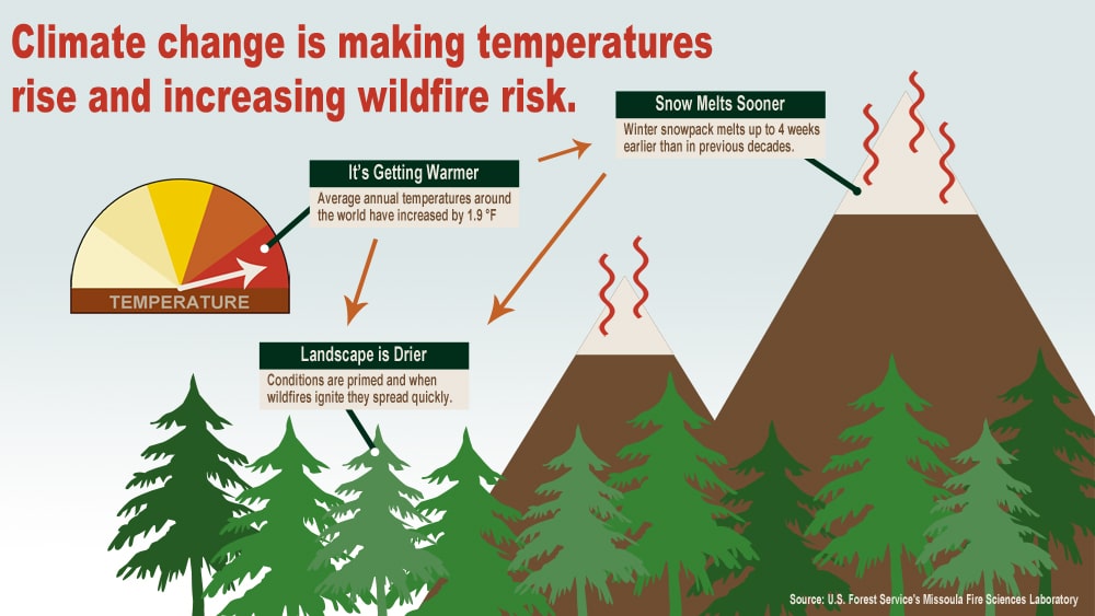 Is Climate Change Increasing Wildfire Risk?